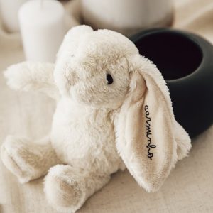 Peluche Coelhinho