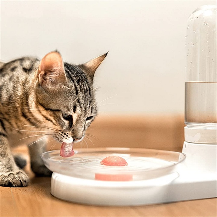 Bebedouro Automático para Gatos - Image 3