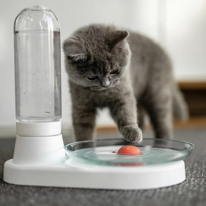 Bebedouro Automático para Gatos - Image 5