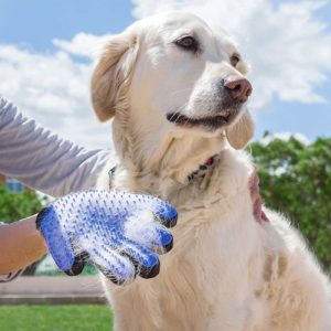 Escova Luva para Animais de Estimação